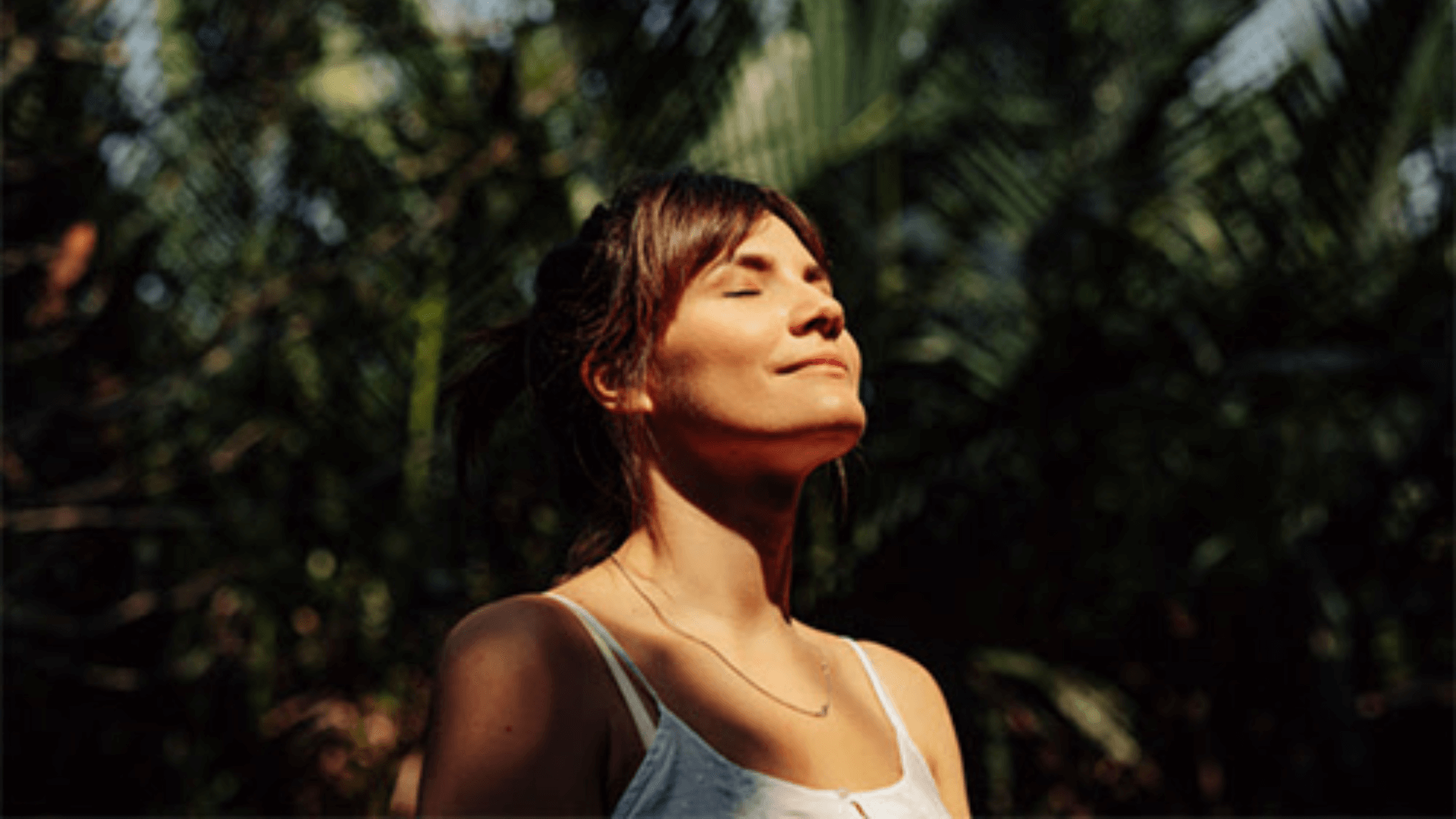 Your Nervous System: The Master Regulator of Your Health