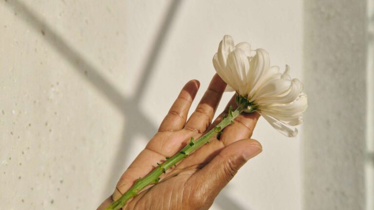 Image banner use in 'True Self-Care' Article of WORTHY Self-Care